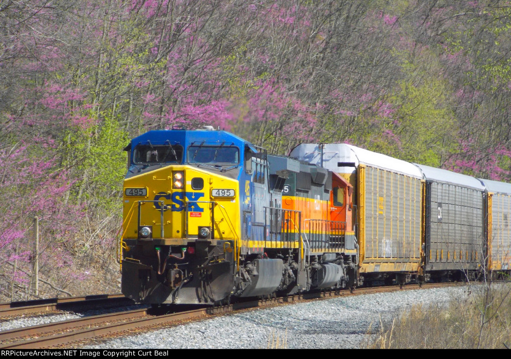 CSX 495 and HLCX 8145